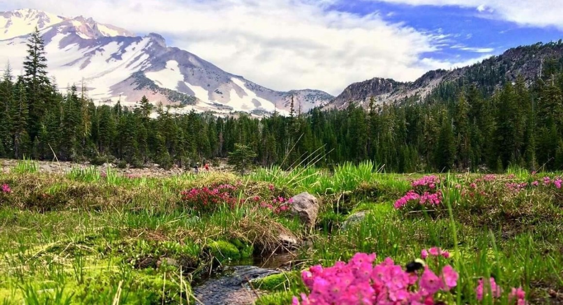 Panther Meadow with stream and pink flowers